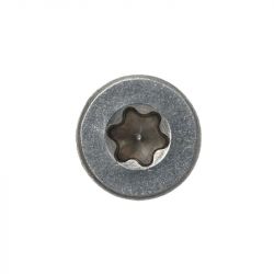 Vis inox - SWG - 4X30 Boite de 25 - TX20