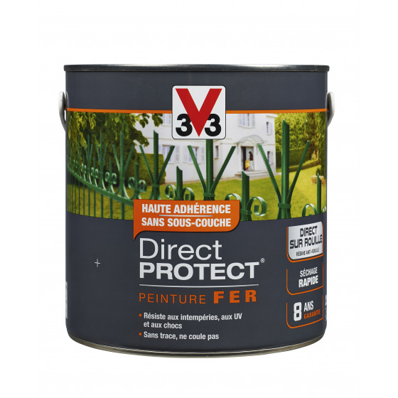 Peinture fer DIRECT PROTECT®