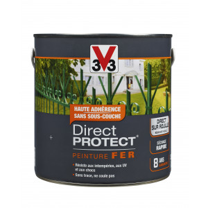 Peinture fer DIRECT PROTECT®