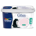 Peinture Crème De Couleur Bouton De Rose