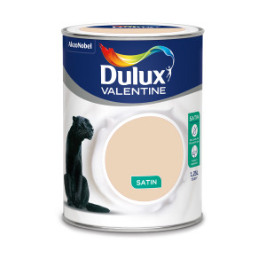 Peinture Crème De Couleur Coquille D'Œuf