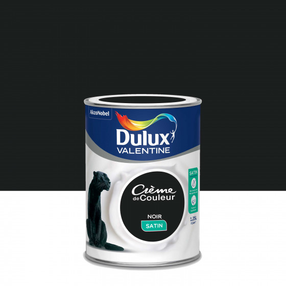Peinture Crème De Couleur Noir