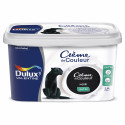 Peinture Crème De Couleur Noir