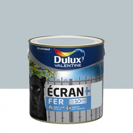 Peinture Écran + Fer Gris Clair