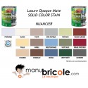 Peinture Solid Color Stain - Blanc - 2.5L
