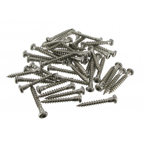 Vis bois connecteur tête bombée Torx inox - 5 x 40mm