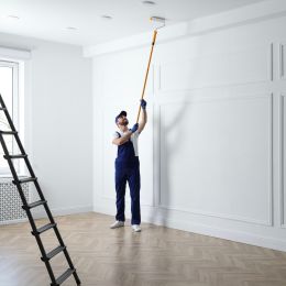 Peinture murs et plafonds 1L Blanc satin