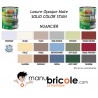 Peinture Solid Color Stain - Carbone - 2.5L