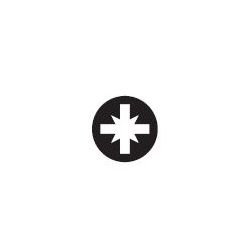 5 Embouts de vissage PZ1 torsion L25 - DIAGER